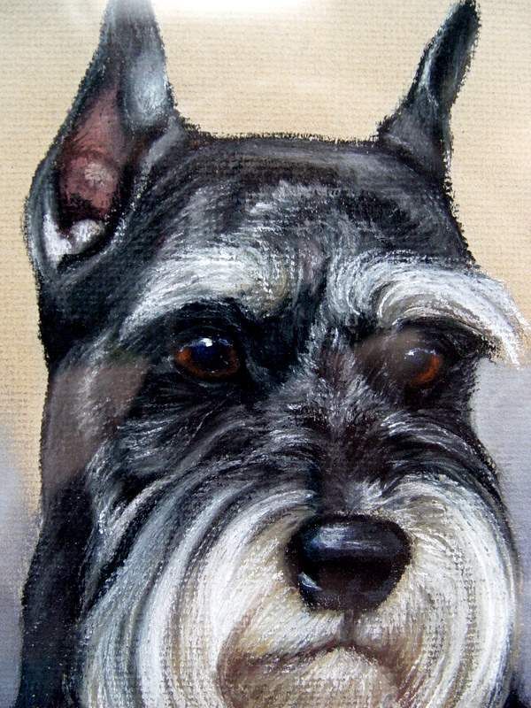 600x800 Schnauzer Painting Beautiful Drawing German Dog Signed - Miniature Schnauzer Painting