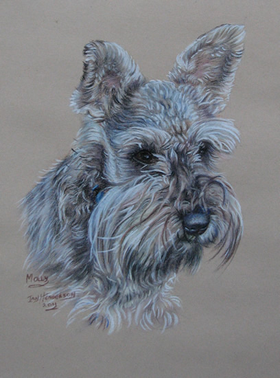 408x550 Dog Portrait Painting - Miniature Schnauzer Painting