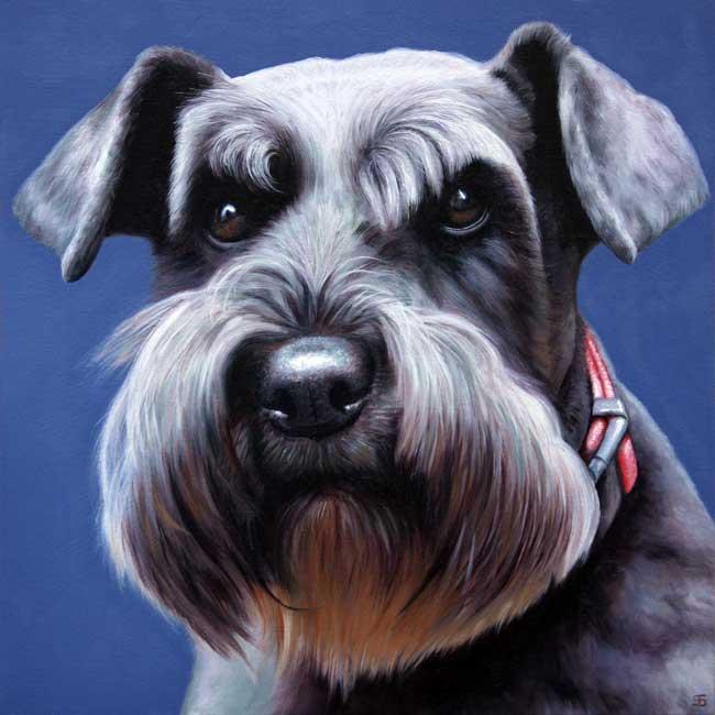650x650 Two New Paintings. - Miniature Schnauzer Painting