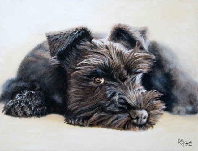 640x489 Kate Tugwell Artwork Abi Black Miniature Schnauzer Original - Miniature Schnauzer Painting