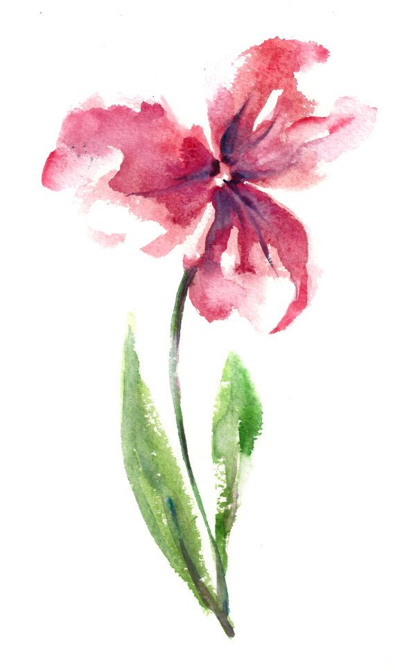 570x968 Original Watercolor Painting, Pink Flower Painting, Minimalist - Minimalist Flower Painting