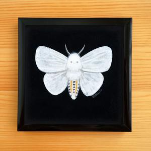 300x300 White Moth - Minipainting