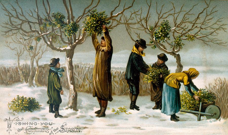900x534 Gathering Mistletoe Painting By English School - Mistletoe Painting