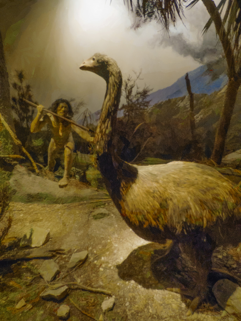 768x1024 The World's Most Recently Posted Photos Of Christchurch And Moa - Moa Painting
