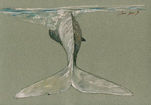 300x209 Moby Dick Paintings Fine Art America - Moby Dick Painting