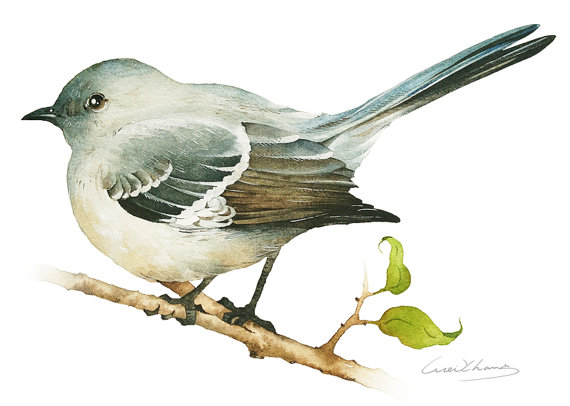 570x406 Mockingbird Painting - Mockingbird Painting