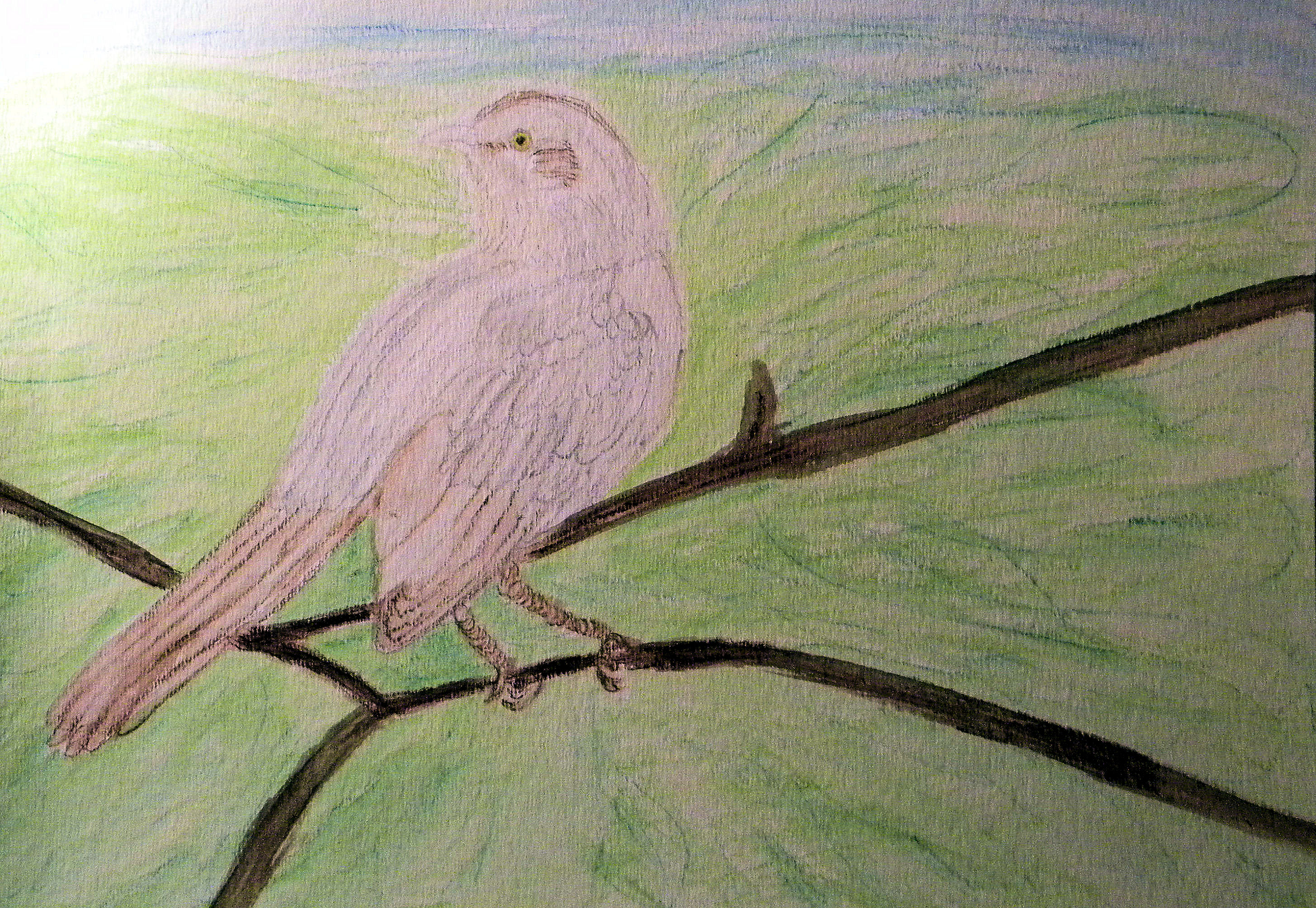 2911x2009 Mockingbird Painting Patsy's Creative Corner - Mockingbird Painting