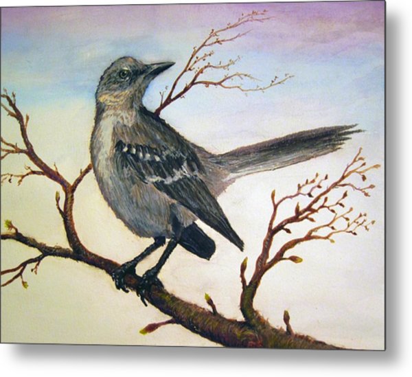600x549 Mockingbird Painting By Forrest C Greenslade Phd - Mockingbird Painting