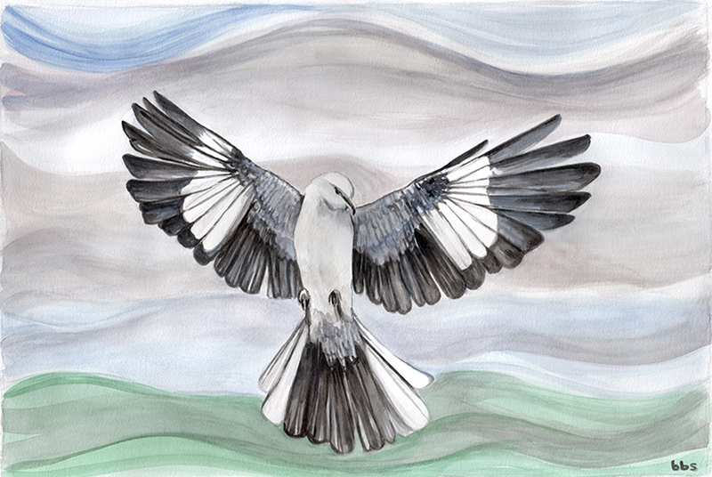 800x536 Mockingbird Watercolor Painting - Mockingbird Painting