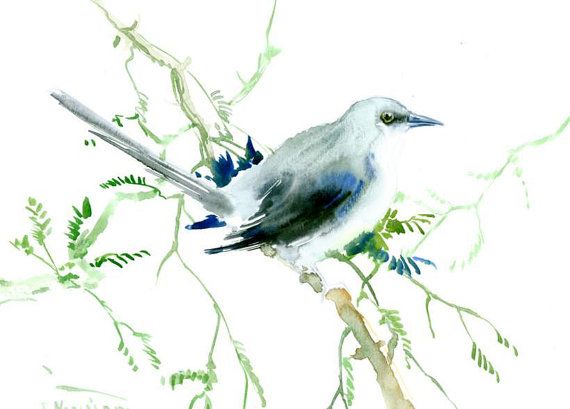 570x409 Mockingbird Art Original Watercolor Painting 12 X By Originalonly - Mockingbird Painting