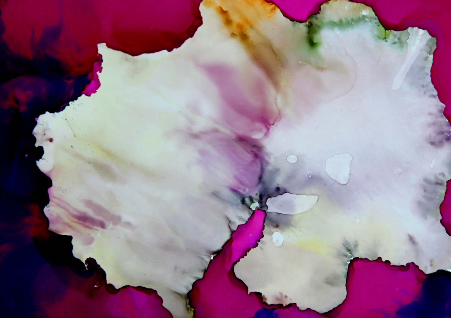 1500x1058 Peony 5 X 7 Modern Abstract Wall Art By Jasmin Langsch - Modern Peony Painting