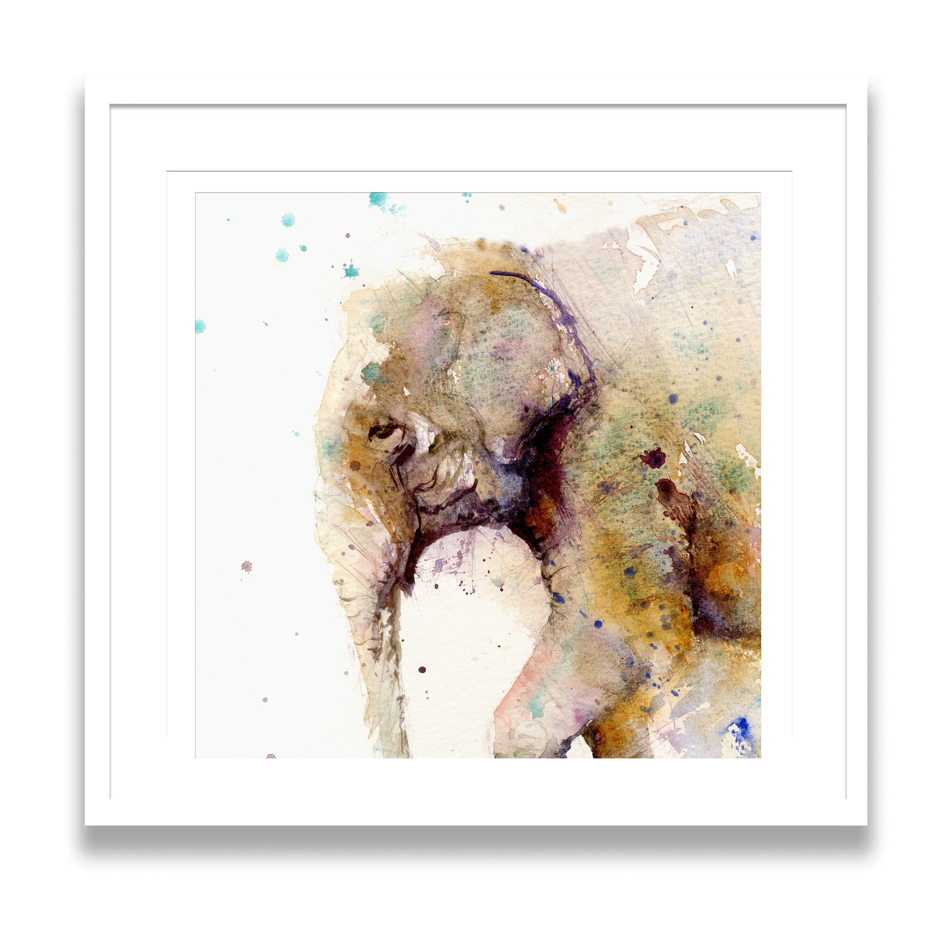 3000x3000 Asian Elephant Limited Edition Art Print - Modern Watercolor Painting
