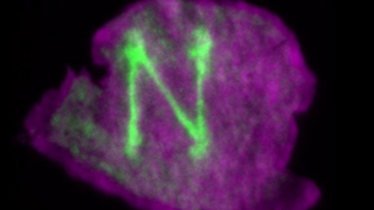 770x433 Painting With Molecules - Molecular Painting