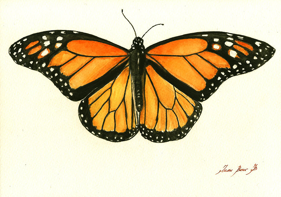 900x631 Monarch Butterfly Painting By Juan Bosco - Monarch Butterfly Painting