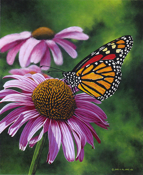 489x600 Wildlife - Monarch Painting