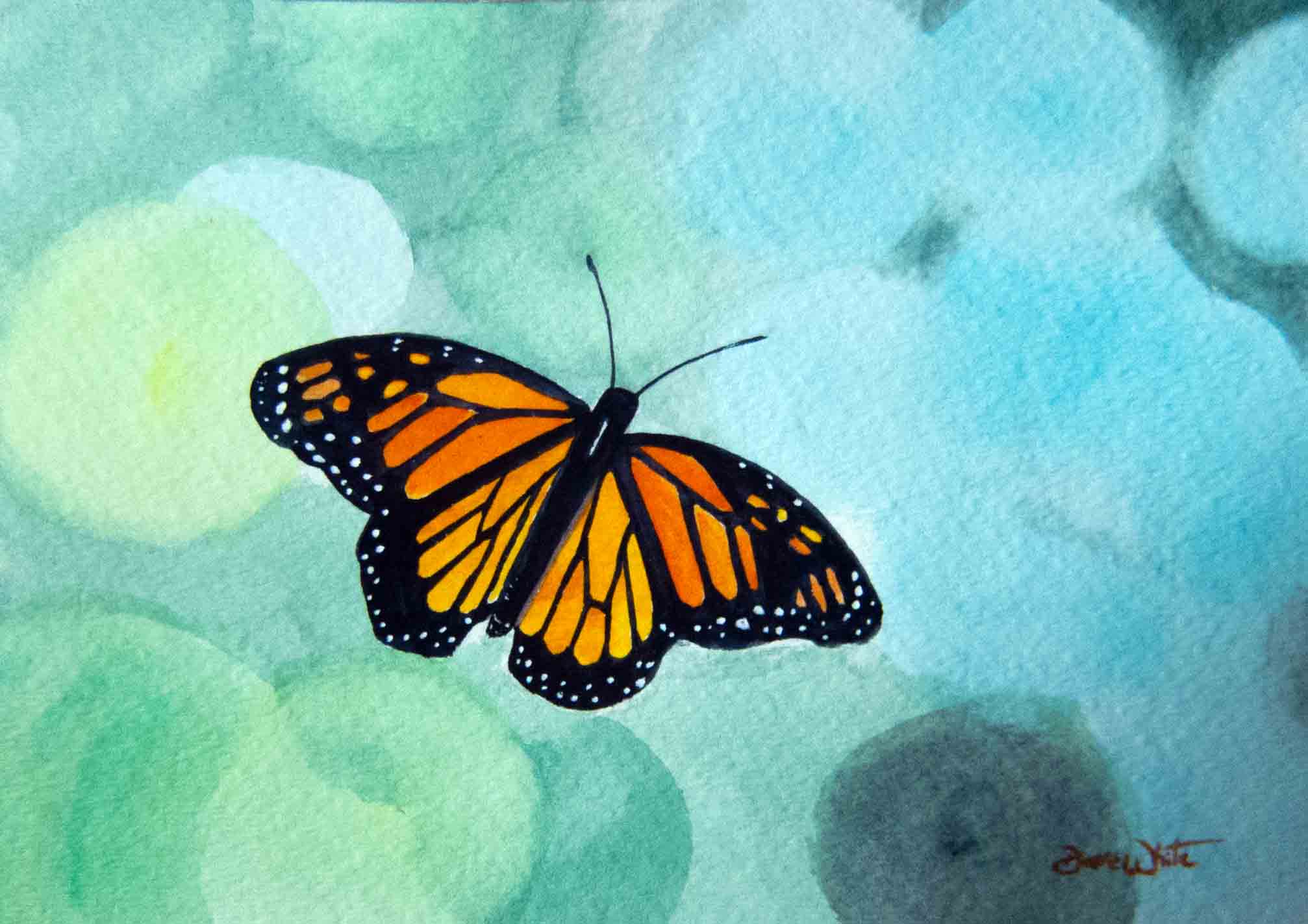 Бабочка рисунок акварелью