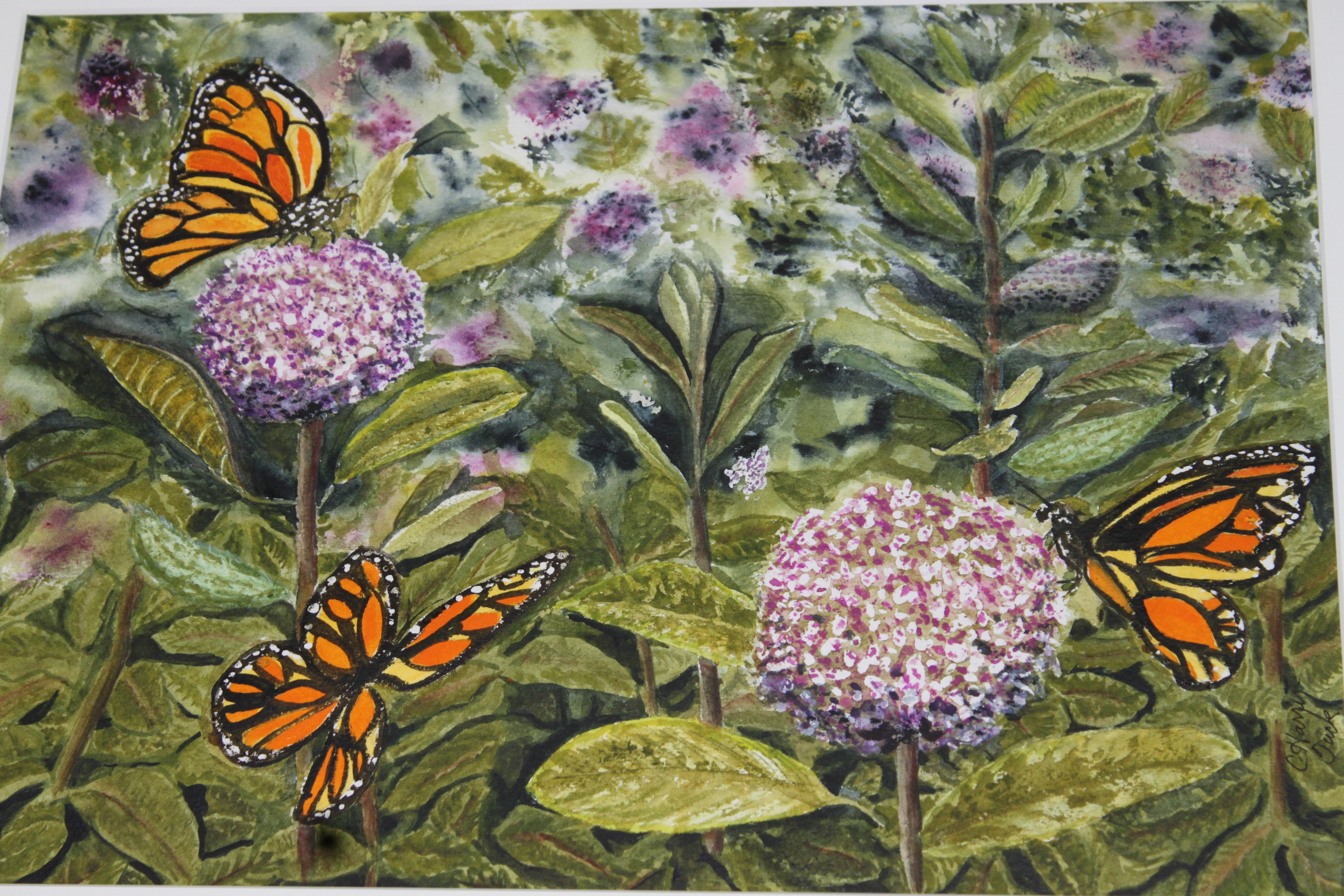 9504x6336 Monarch Butterfly Art Lesson - Monarch Painting