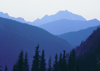 320x228 Art - Monochromatic Landscape Painting