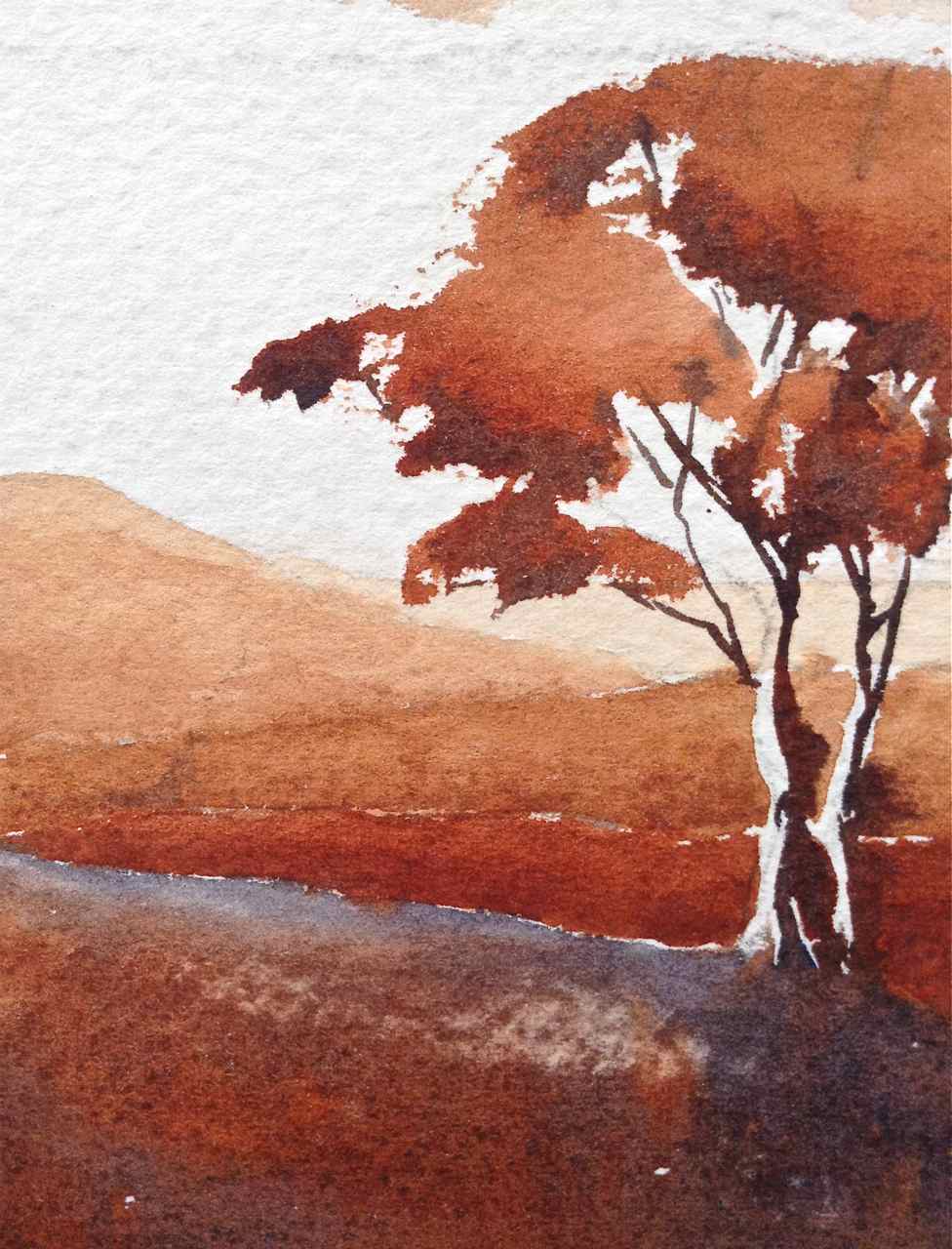 976x1280 5 Tips For Mixing Watercolour Browns Debi Riley - Monochrome Watercolor Painting