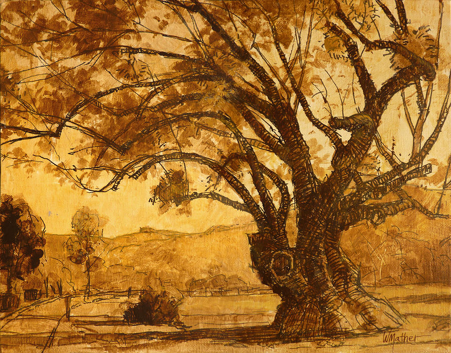 900x705 Sanmarin California Tree Painting By Bill Mather - Monotone Painting