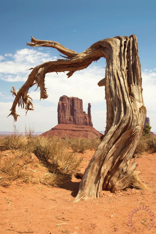 640x960 Collection 6 Monument Valley Desert Tree Painting - Monument Valley Painting
