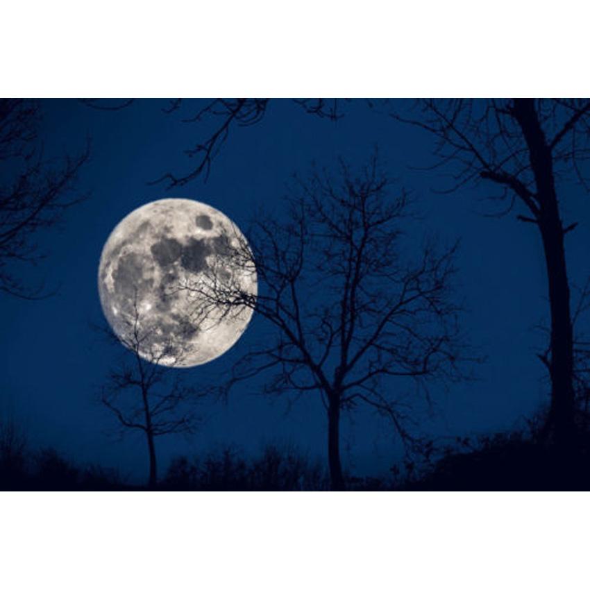 850x850 2018 Moon Night Sky Full Drill Diy Mosaic Needlework Diamond - Moon Painting Images