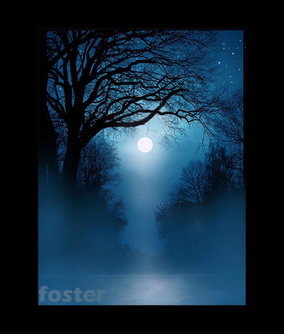 570x671 Tree Art, Landscape, Moonlight, Painting, Blue Night Limbs, Print - Moonlight Painting