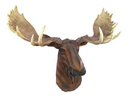 425x325 North American Moose Head Bust Wall Hanging Amazon.ca Home Amp Kitchen - Moose Head Painting