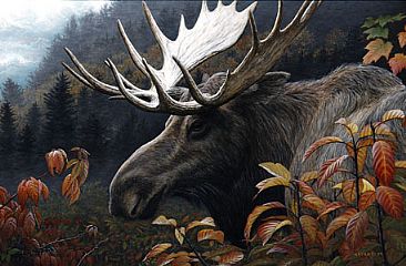 366x240 Moose - Moose Painting