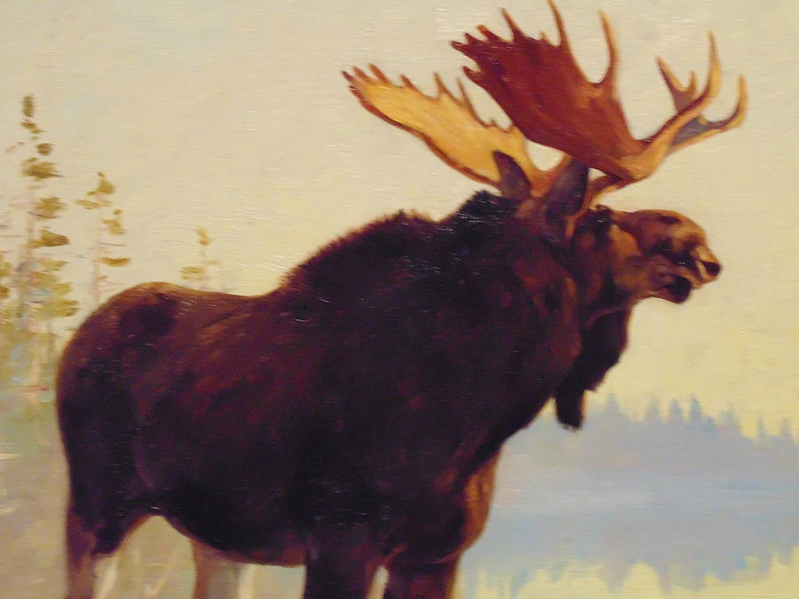900x675 Moose Painting Photograph By Dotti Hannum - Moose Painting