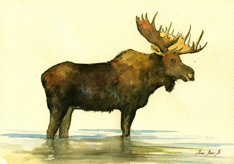 900x630 Moose Watercolor Painting. Painting By Juan Bosco - Moose Painting