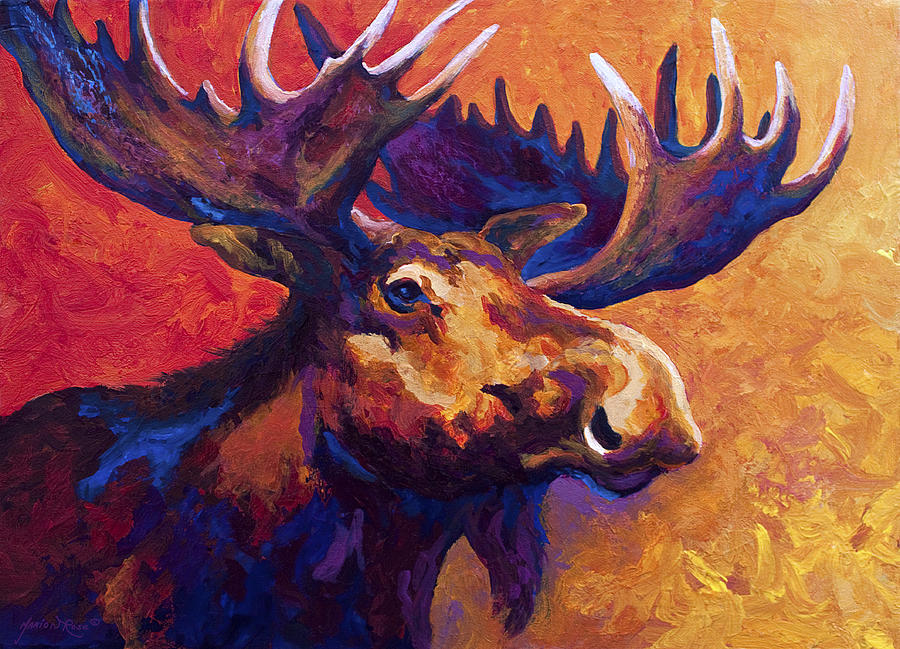 900x649 Noble Pause Painting By Marion Rose - Moose Painting