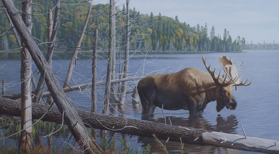 940x520 Prime Time - Moose Painting