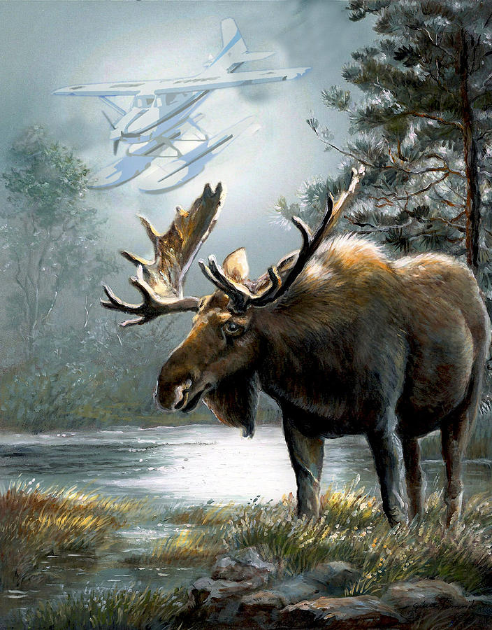 704x900 Alaska Moose With Floatplane Painting By Regina Femrite - Moose Painting