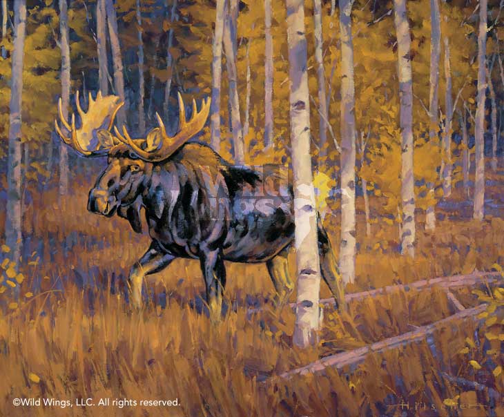 730x604 Autumn Gold Moose Original Oil Painting Wild Wings - Moose Painting
