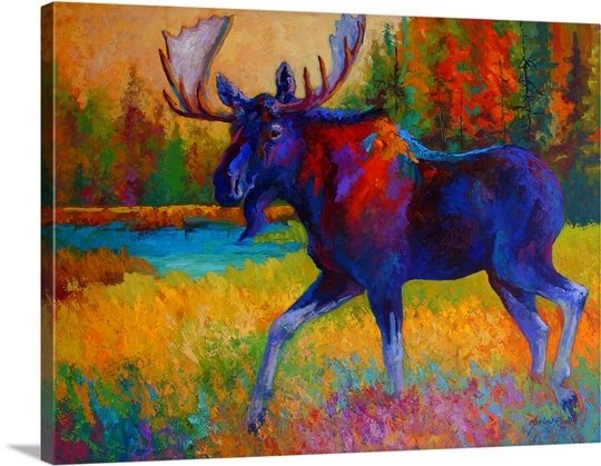 540x419 Great Big Canvas Majestic Moose By Marion Rose Painting Print - Moose Painting Canvas