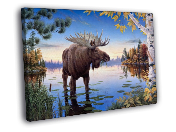 700x525 Moose Autumn Landscape Lake Oil Painting Art Wall Framed Canvas - Moose Painting Canvas
