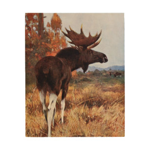 307x307 Painted Moose Wood Wall Art Zazzle - Moose Painting On Wood