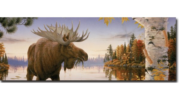 600x336 Wgi Gallery - Moose Painting On Wood