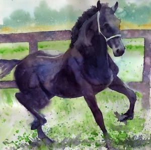 300x299 Giclee Print Standardbred Friesian Arab Morgan Horse Painting Art - Morgan Horse Painting