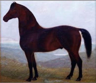 391x336 Home The Lippitt Club, Inc. - Morgan Horse Painting