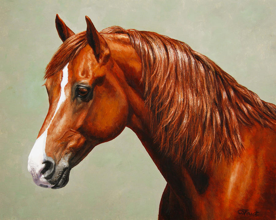900x720 Morgan Horse - Morgan Horse Painting