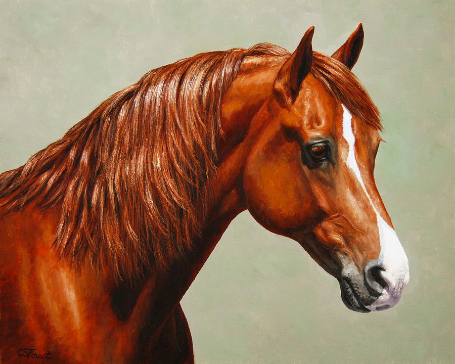 900x720 Morgan Horse - Morgan Horse Painting