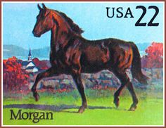 236x182 Morgan Horse Painting - Morgan Horse Painting
