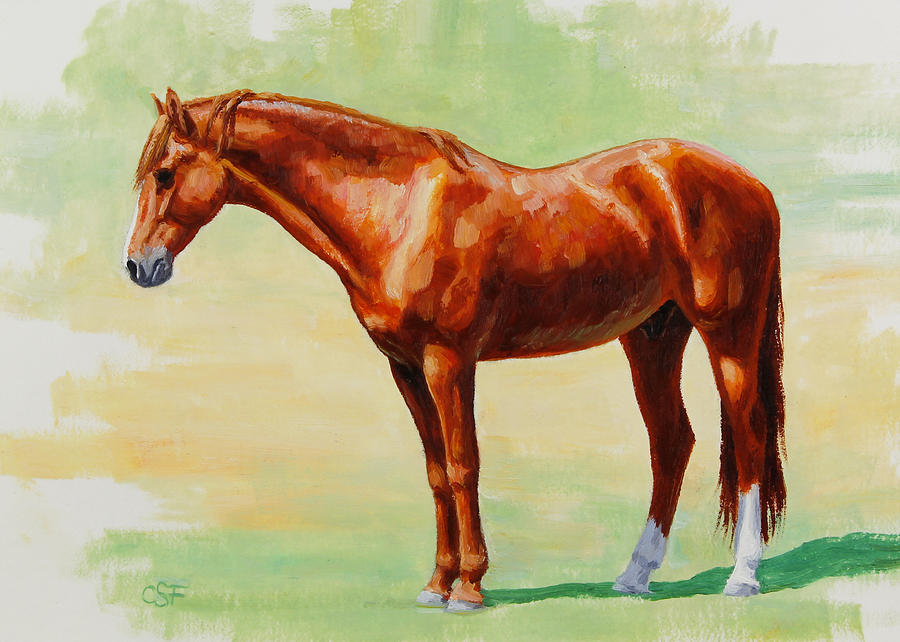 900x642 Roasting Chestnut - Morgan Horse Painting