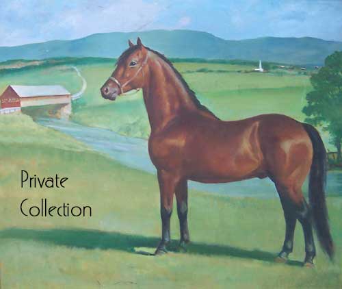 500x422 The Art Of Wesley Dennis - Morgan Horse Painting