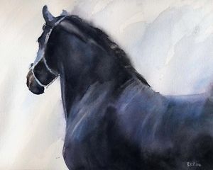 300x240 Giclee Print Equine Painting Friesian Morgan Black Horse Art - Morgan Horse Painting