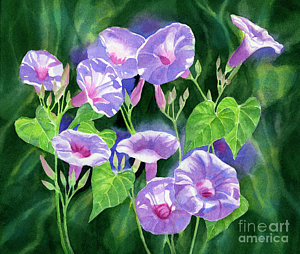 300x254 Morning Glory Paintings Fine Art America - Morning Glory Painting