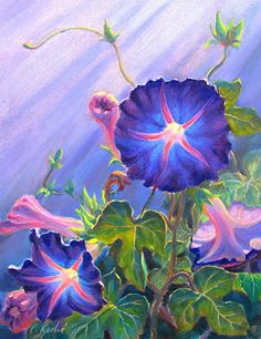 236x306 437 Best Images On Embroidery, Blossoms - Morning Glory Painting