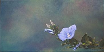 366x184 Flowers - Morning Glory Painting